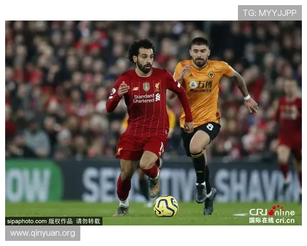 万博狼队官网最新公告公告内容及重要通知一览无遗