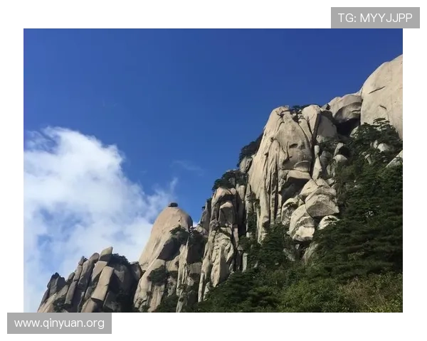 万博官网app APK下载最新版本推荐，为你带来更流畅的使用体验和丰富的功能