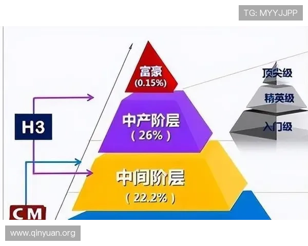 万博集团是国企还是私企详细解析及其背后所有权结构分析