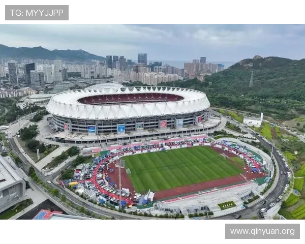 半岛体育平台的客户服务与技术支持体系全面介绍确保用户问题及时解决