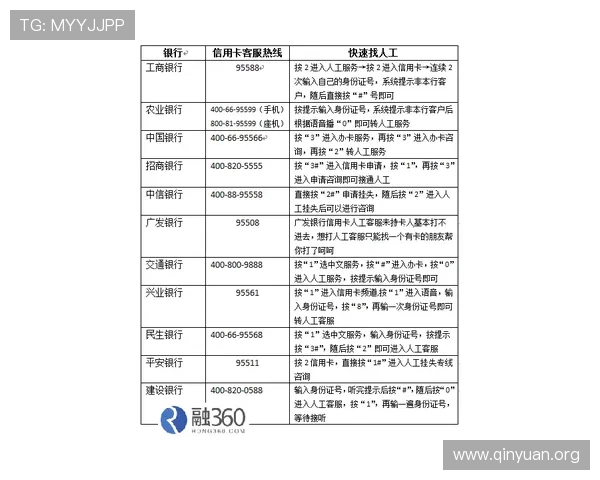 多米官网客户服务与技术支持联系方式及常见问题解答